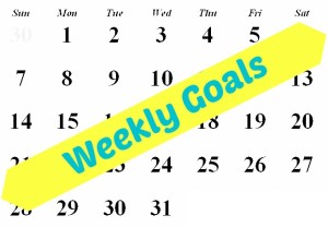 Weekly Goals