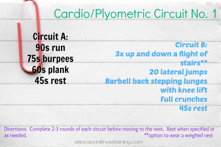 cardio/plyo circuit workout no 1