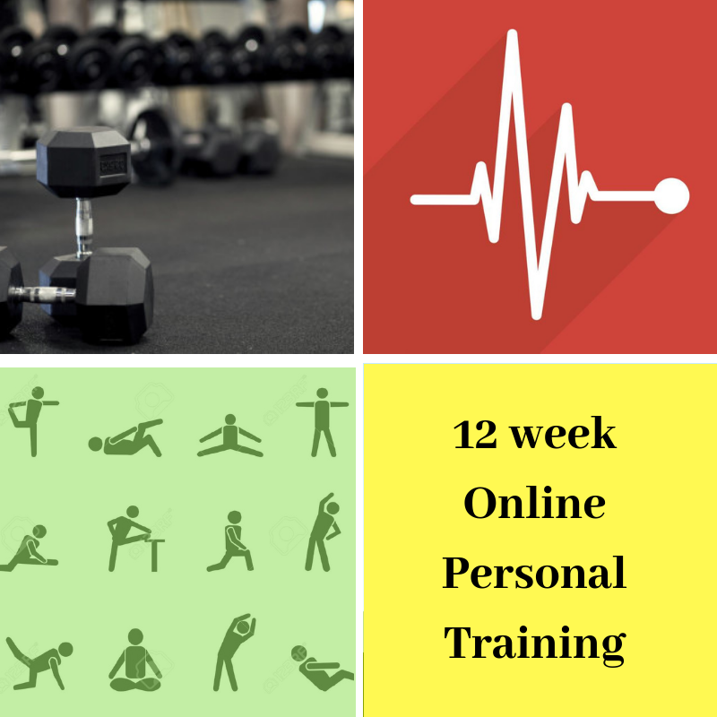 12 week Online Personal Training only